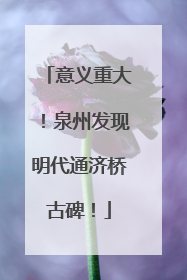 意义重大！泉州发现明代通济桥古碑！