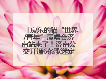 房东的猫“世界/青年”演唱会济南站来了！济南公交开通6条歌迷定制专线