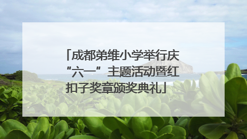 成都弟维小学举行庆“六一”主题活动暨红扣子奖章颁奖典礼