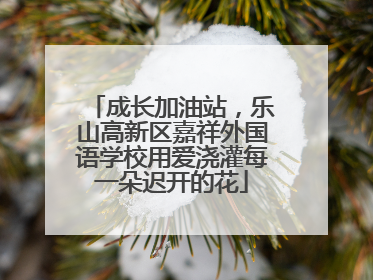 成长加油站，乐山高新区嘉祥外国语学校用爱浇灌每一朵迟开的花
