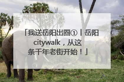 我送岳阳出圈①丨岳阳citywalk，从这条千年老街开始！