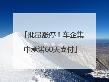 批量涨停！车企集中承诺60天支付