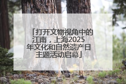 打开文物视角中的江南，上海2025年文化和自然遗产日主题活动启幕