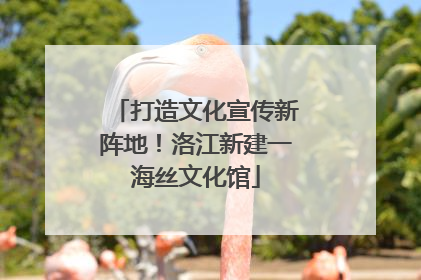 打造文化宣传新阵地！洛江新建一海丝文化馆