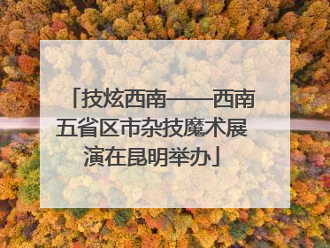 技炫西南——西南五省区市杂技魔术展演在昆明举办