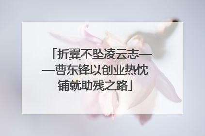 折翼不坠凌云志——曹东锋以创业热忱铺就助残之路