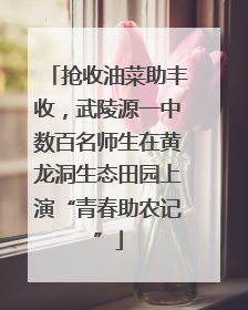 抢收油菜助丰收，武陵源一中数百名师生在黄龙洞生态田园上演“青春助农记”