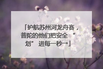 护航苏州河龙舟赛，普陀的他们把安全 “划” 进每一秒→