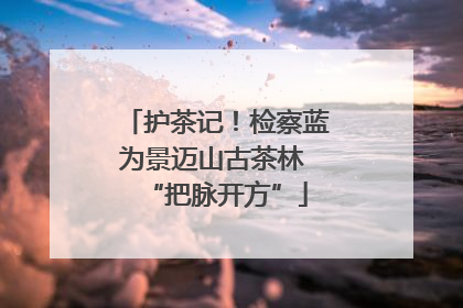 护茶记！检察蓝为景迈山古茶林 “把脉开方”