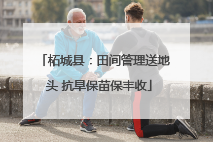 柘城县：田间管理送地头 抗旱保苗保丰收