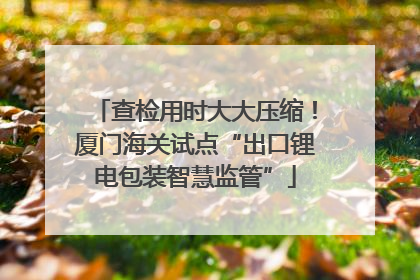 查检用时大大压缩！厦门海关试点“出口锂电包装智慧监管”