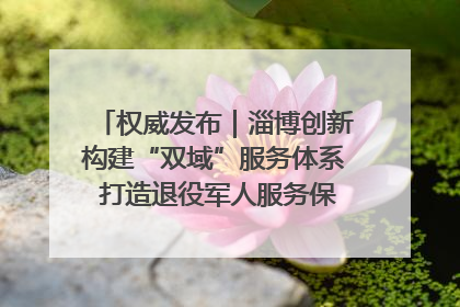 权威发布｜淄博创新构建“双域”服务体系 打造退役军人服务保障“淄博样板”