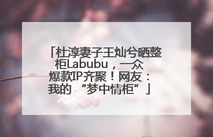 杜淳妻子王灿兮晒整柜Labubu，一众爆款IP齐聚！网友：我的 “梦中情柜”