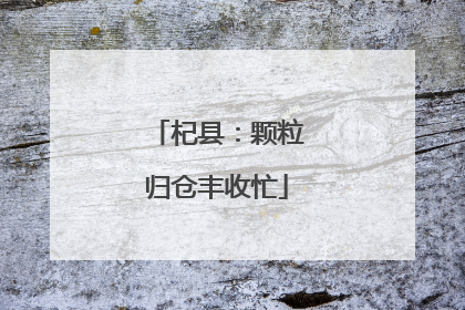杞县：颗粒归仓丰收忙
