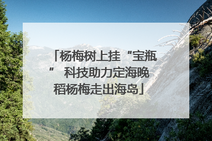 杨梅树上挂“宝瓶” 科技助力定海晚稻杨梅走出海岛