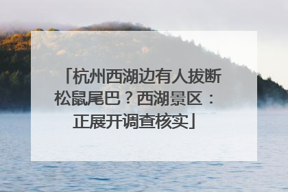 杭州西湖边有人拔断松鼠尾巴？西湖景区：正展开调查核实