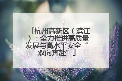 杭州高新区（滨江）：全力推进高质量发展与高水平安全“双向奔赴”