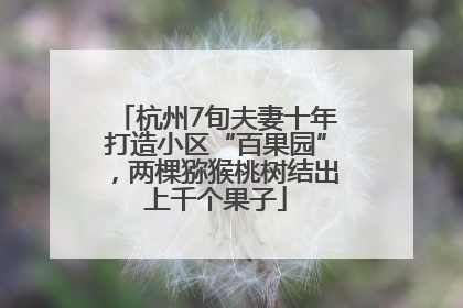 杭州7旬夫妻十年打造小区“百果园”，两棵猕猴桃树结出上千个果子