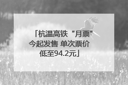 杭温高铁“月票”今起发售 单次票价低至94.2元