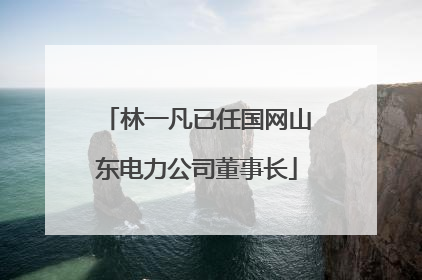 林一凡已任国网山东电力公司董事长