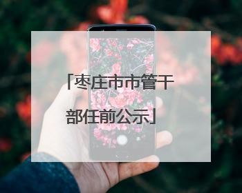枣庄市市管干部任前公示