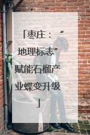 枣庄：“地理标志”赋能石榴产业蝶变升级