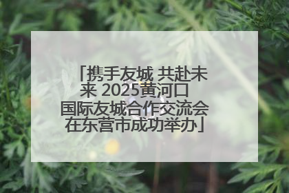 携手友城 共赴未来 2025黄河口国际友城合作交流会在东营市成功举办