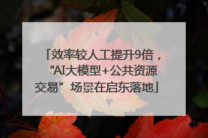 效率较人工提升9倍，“AI大模型+公共资源交易”场景在启东落地