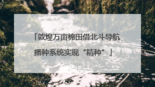 敦煌万亩棉田借北斗导航播种系统实现“精种”