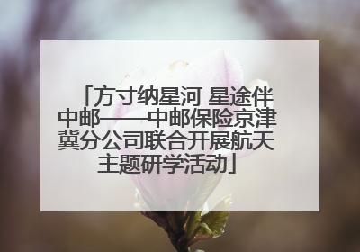 方寸纳星河 星途伴中邮——中邮保险京津冀分公司联合开展航天主题研学活动