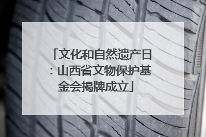 文化和自然遗产日：山西省文物保护基金会揭牌成立