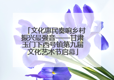 文化惠民奏响乡村振兴最强音——甘肃玉门下西号镇第九届文化艺术节启幕