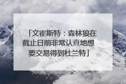 文霍斯特：森林狼在截止日前非常认真地想要交易得到杜兰特