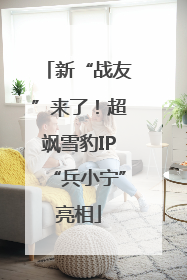 新“战友”来了！超飒雪豹IP“兵小宁”亮相