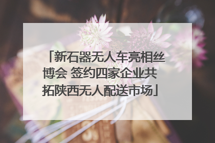 新石器无人车亮相丝博会 签约四家企业共拓陕西无人配送市场