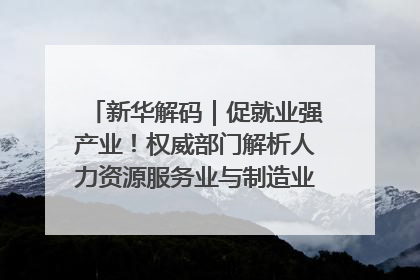 新华解码｜促就业强产业！权威部门解析人力资源服务业与制造业融合发展试点