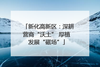 新化高新区：深耕营商“沃土” 厚植发展“磁场”