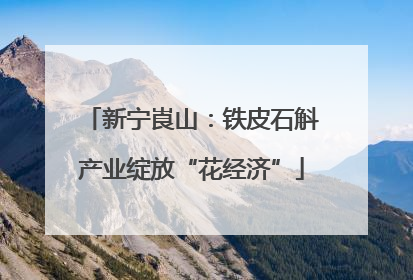 新宁崀山：铁皮石斛产业绽放“花经济”