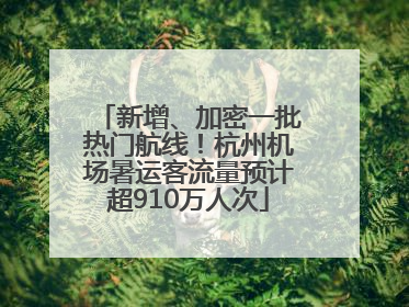 新增、加密一批热门航线！杭州机场暑运客流量预计超910万人次