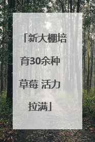 新大棚培育30余种草莓 活力拉满