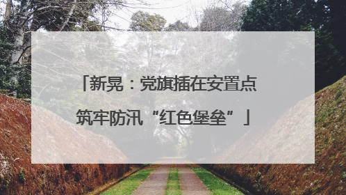新晃：党旗插在安置点 筑牢防汛“红色堡垒”