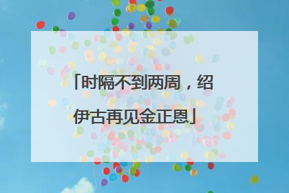 时隔不到两周，绍伊古再见金正恩