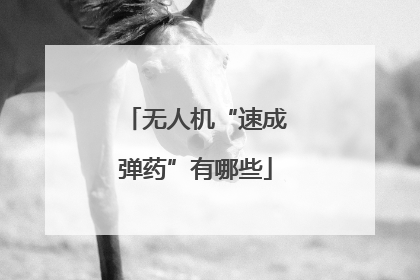 无人机“速成弹药”有哪些