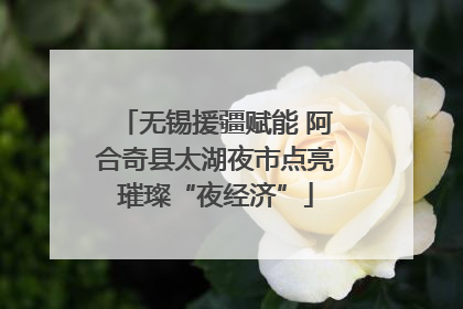 无锡援疆赋能 阿合奇县太湖夜市点亮璀璨“夜经济”