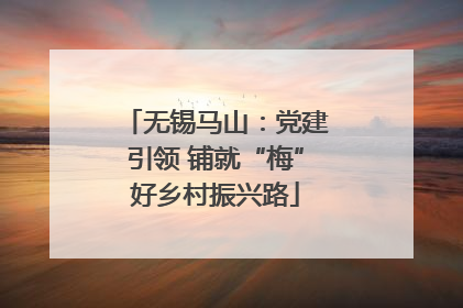 无锡马山：党建引领 铺就“梅”好乡村振兴路