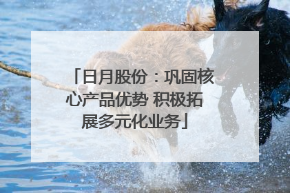 日月股份：巩固核心产品优势 积极拓展多元化业务