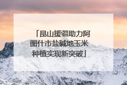 昆山援疆助力阿图什市盐碱地玉米种植实现新突破