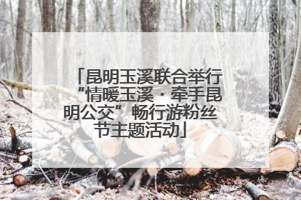 昆明玉溪联合举行“情暖玉溪・牵手昆明公交”畅行游粉丝节主题活动