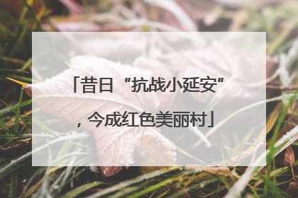 昔日“抗战小延安”，今成红色美丽村