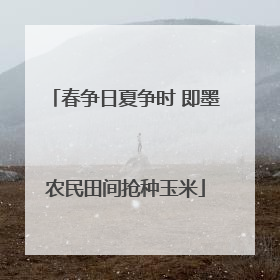 春争日夏争时 即墨农民田间抢种玉米